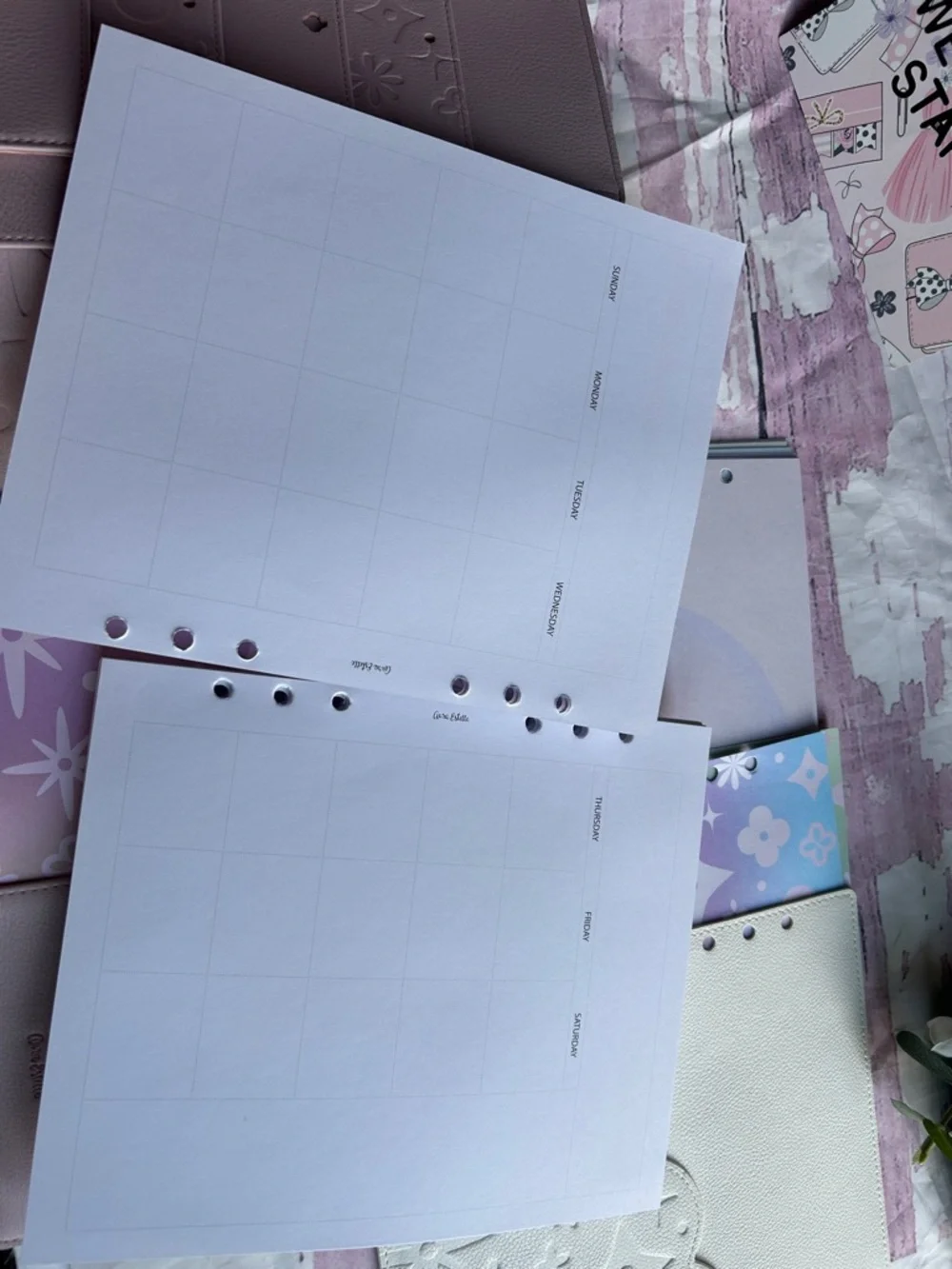 🎀Bundle Aura Estelle A5 Wide pastel W Lots of inserts weekly’s monthly’s